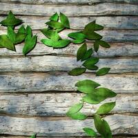 Leaves scattered on the wooden table, 3d rendering. photo