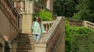 el niña camina en el parque, va abajo el escalera video