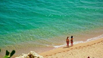 pessoas ficar de pé em a margens do a esmeralda Mediterrâneo mar video