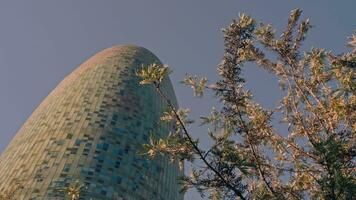 en skyskrapa tornar upp sig över förbi en majestätisk träd i en lugn miljö video