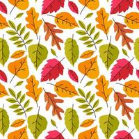 Seamless pattern with autumn colorful leaves on a white background. Vector graphics.