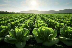 a photo realistic image of a field of lettuce plants.
