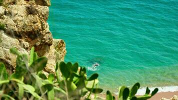 snorkeling dentro a Claro águas do a Mediterrâneo mar video