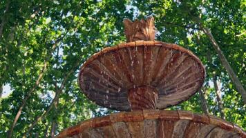 Beautiful fountain with falling water on the background of trees video