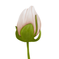 acuarela flor brote png