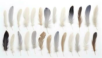 Feather set. feather collection on white background. Light weight of feather. Abstract. Generated AI illustration photo