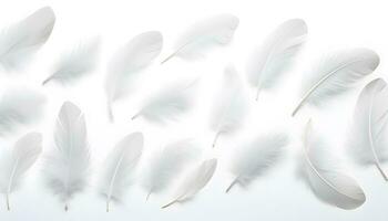 Feather set. feather collection on white background. Light weight of white feather floating. Abstract. Generated AI illustration photo