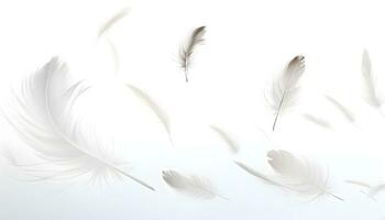 White feather background. Beautiful Soft and Light White Fluffy Feathers Floating. Abstract. Light weight of white feather floating. Generated AI illustration photo