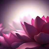 lotus flower background photo