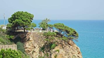 rilassamento la zona su un' scogliera di il mare video