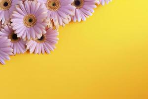 Pink gerbera flowers on yellow background. Space for text. photo