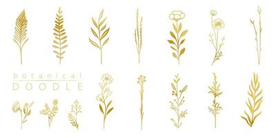 Botanical golden doodle set of branches. Hand drawn leaves and herbals, wedding invitation and cards, logo design and posters template. Elegant minimal style floral vector isolated set