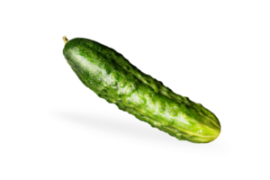 Cucumber isolated on white or invisible png background