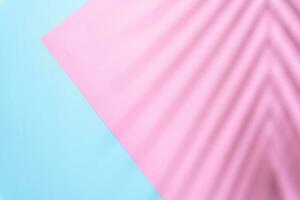 Light blue and pink summer colors background with palm shadow photo