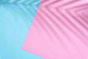 Light blue and pink summer colors background with palm shadow photo