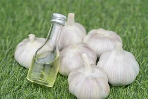 cold press garlic oil with fresh garlic on green grass background , the benefit of garlic capsules reduce blood pressure, reduce blood fat, cholesterol, prevent cancer. photo