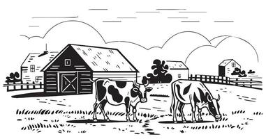 Two cows graze on the field on the background of the farm hand drawn sketch in doodle style Vector illustration