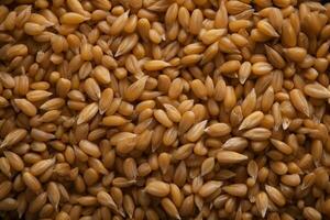 wheat groats texture background. view from above. Natural healty food, vegan diet. ai generative photo