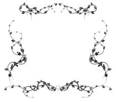 intricate frame on white background rose hips for vector