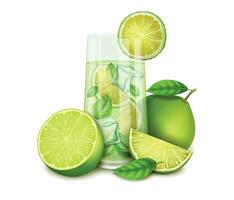 Realistic Detailed 3d Glass Cup Beverage with Fresh Lime. Vector