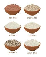 Cartoon Color Different Types Rice in Bowls Set. Vector