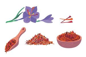 Cartoon Color Saffron Flower and Spice Set. Vector