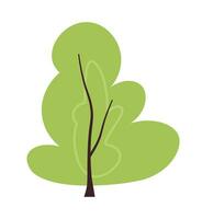 Evergreen park tree semi flat colour vector object. Decorative plant. Editable cartoon clip art icon on white background. Simple spot illustration for web graphic design