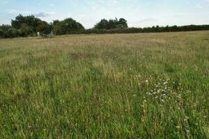 High Angle Footage of British Agricultural Farms at Countryside Landscape Nearby Luton City of England Great Britain of UK. Footage Was Captured with Drone's Camera on August 19th, 2023 photo