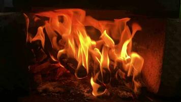 fuego, ardiente madera en un hoguera, de cerca, resumen antecedentes video