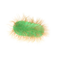 3d hacer ilustración escherichia coli de patógeno bacteria bacterias medicamento, salmonela tifosa con flagelos microscópico ver en líquido. médico virus, científico concepto con microbio y germen png