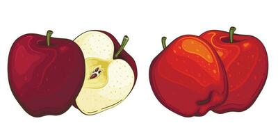 Apple isolated vector illustration. Fruits colorful illustrations isolated on white background.  Fruit collection.