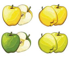 Apple isolated vector illustration. Fruits colorful illustrations isolated on white background.  Fruit collection.