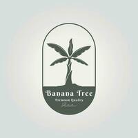 simple oval emblem of banana tree logo icon design vector