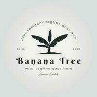 simple typography of banana tree logo icon design vector illustration