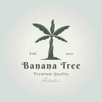 vintage banana tree logo icon design vector illustration