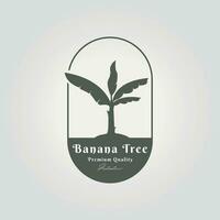 simple oval emblem of banana tree logo icon design with a big leave vector