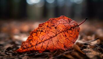 el vibrante otoño bosque brilla con multi de colores belleza en naturaleza generado por ai foto