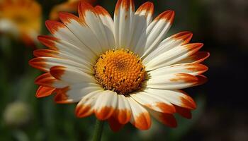 A vibrant yellow daisy blossoms in the fresh summer meadow generated by AI photo