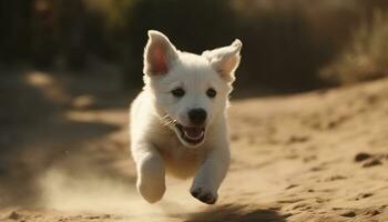 A cute puppy running outdoors, playing and having fun in summer generated by AI photo