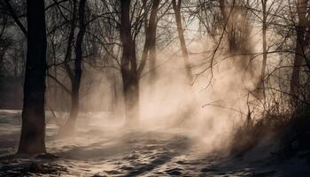 Mysterious forest, foggy autumn, tranquil scene, spooky darkness, enchanted wilderness generated by AI photo