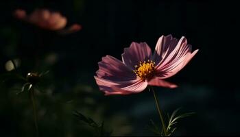 A vibrant yellow daisy blossoms in the tranquil meadow generated by AI photo