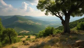 Tranquil meadow, green forest, mountain peak, sunset, beauty in nature generated by AI photo