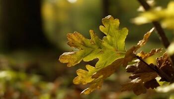 Vibrant autumn colors showcase the beauty of nature changing season generated by AI photo