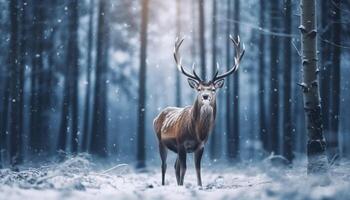 un majestuoso ciervo soportes en un Nevado bosque, rodeado por tranquilidad generado por ai foto