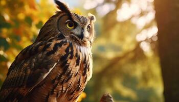 un majestuoso águila búho encaramado en un rama, curioso a puesta de sol generado por ai foto