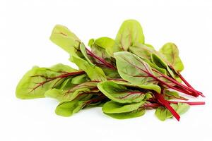 Ai generative. Fresh red veined sorrel leaves on the white background photo