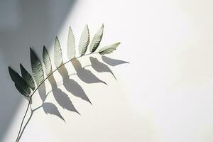 Ai generative.  A shadow from a tropical plant on a paper background photo