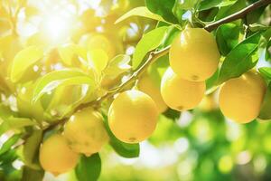 Lemons on the Tree. Ai generative. photo