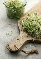 Microgreens grown in a jar. photo