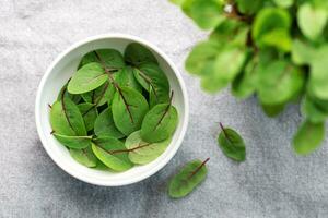 Fresh sorrel microgreens photo